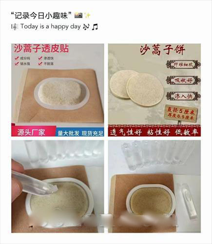 沙蒿子透皮貼