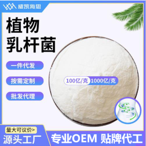 植物乳桿菌